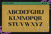 React Called, a Serif Font by Black Junst (Thumbnail 6 of 11)