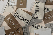 TT Galiner – Timeless Elegance Serif, a Serif Font by truetype (Thumbnail 8 of 15)