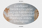 TAN - LUNA NEGRA, a Serif Font by TanType (Thumbnail 7 of 16)