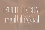 Relyagih Modern Serif Font, a Serif Font by Storytype Studio (Thumbnail 14 of 15)