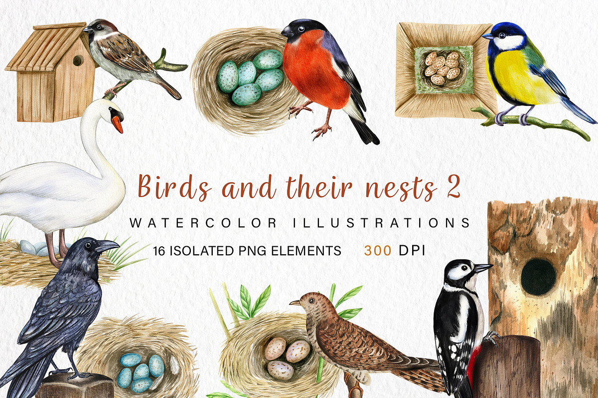 Watercolor Birds and their Nests PNG, an Illustration by svetodesign (Photo 1 of 4)