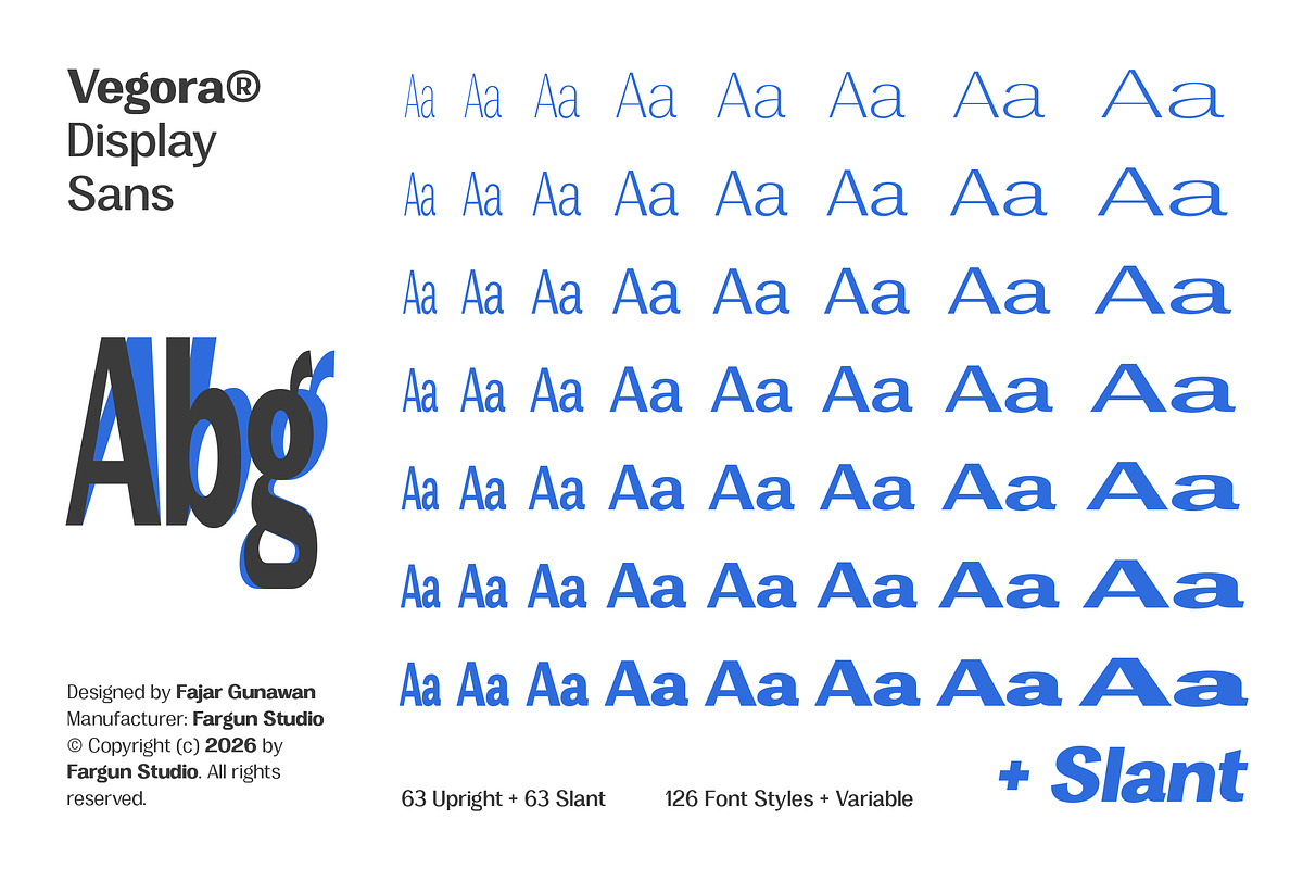 Vegora Display Sans, a Sans Serif Font by Fargun Studio (Photo 14 of 15)