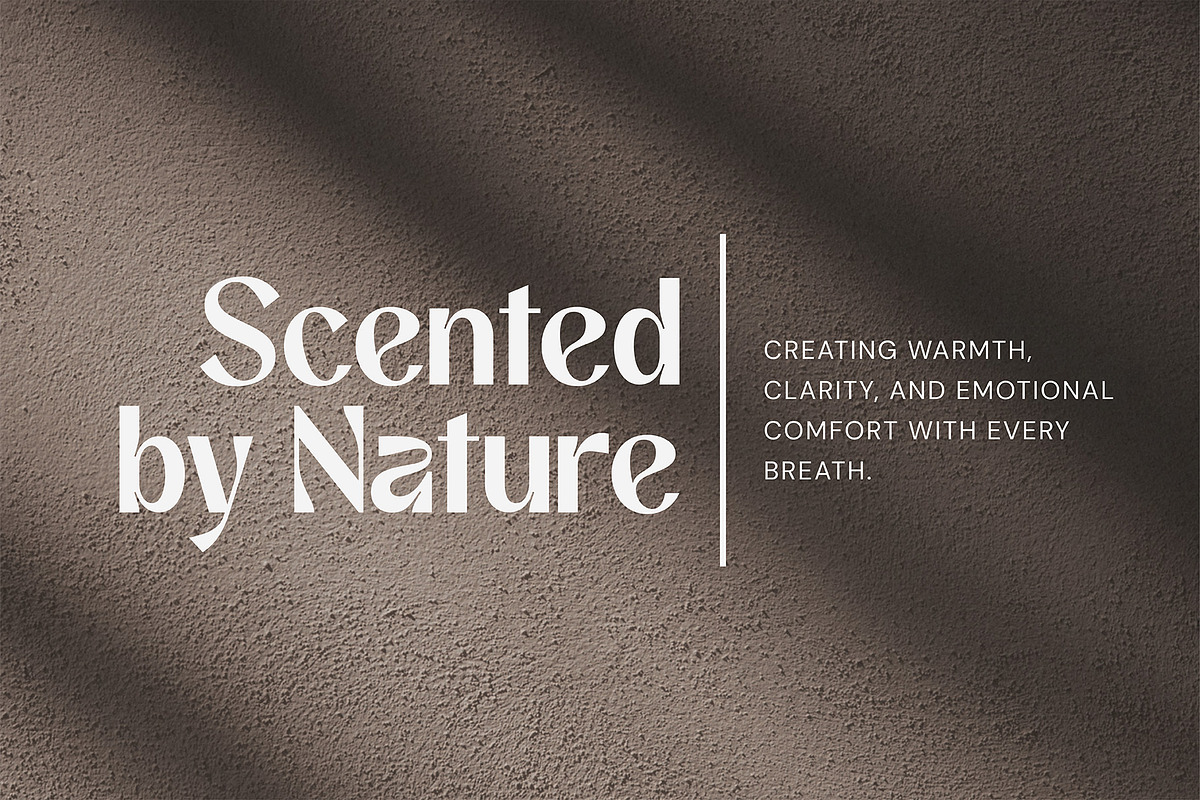 Affigue | Modern Clean Sans Serif, a Sans Serif Font by Typoraith Co (Photo 9 of 15)