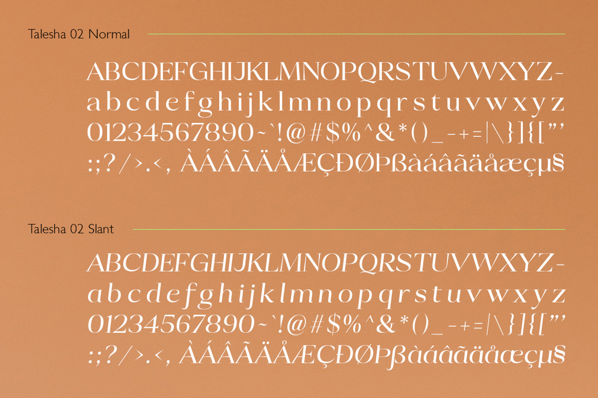 Talesha Font Family, a Serif Font by Seniors (Photo 26 of 30)