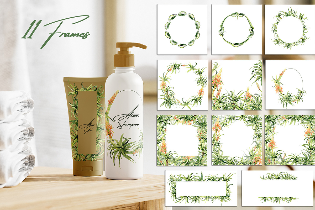 Aloe Watercolor Collection, a Decorative Illustration by WatercolorElena (Photo 6 of 11)