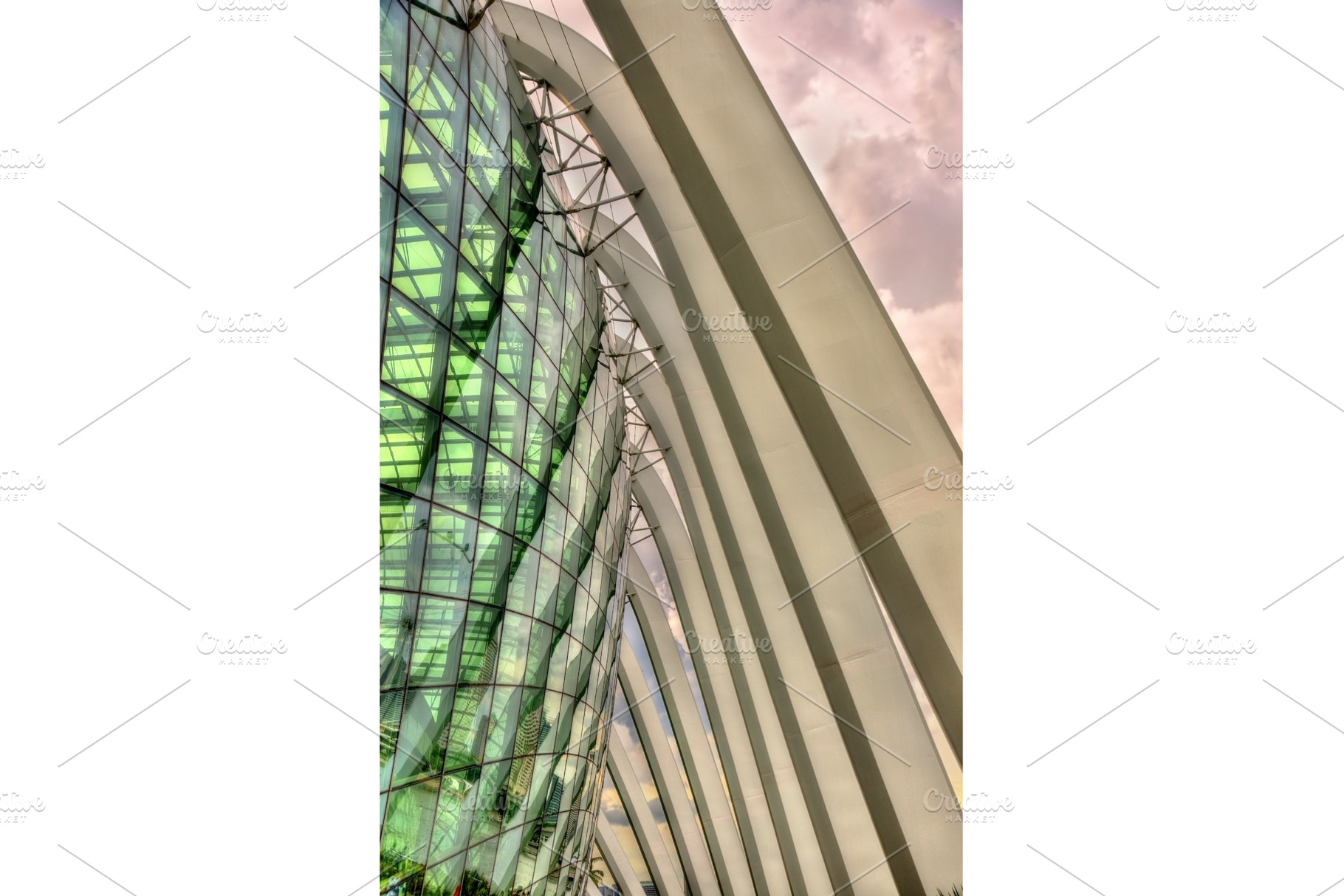 Details of the Flower Dome in Singapore, an Architecture Photo by Leonid Andronov