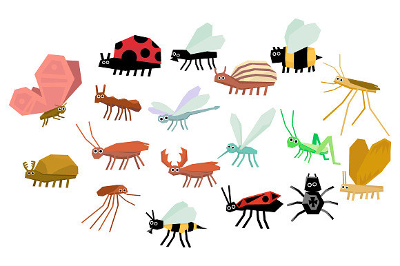 Collection Of Insects Cartoon