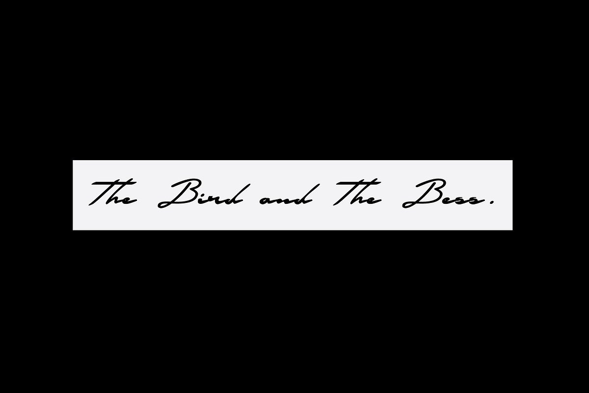 Mondio - Low Script Font, a Script Font by Gittype (Photo 6 of 10)