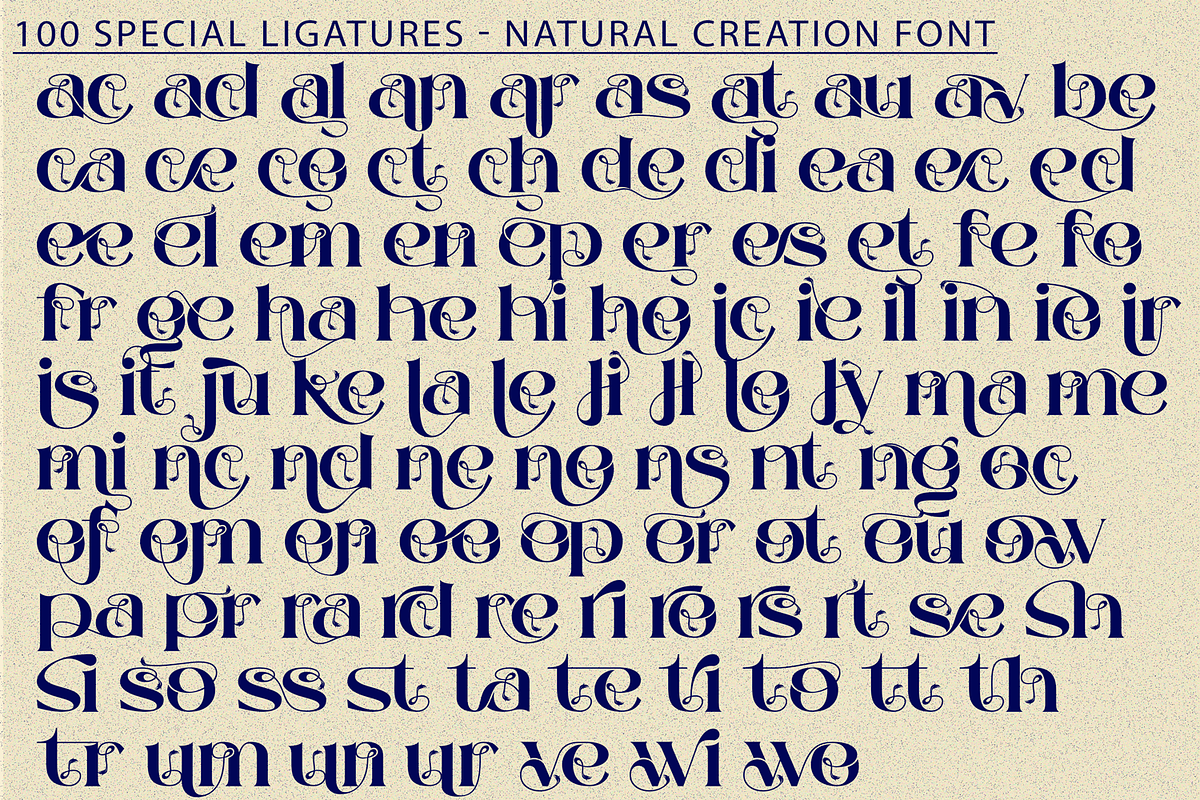 Natural Creation - Decorative Font, a Serif Font by 177Studio (Photo 6 of 8)