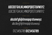 ALFANETA – Modern Branding Typeface, a Sans Serif Font by HypeWorksCo (Thumbnail 12 of 13)