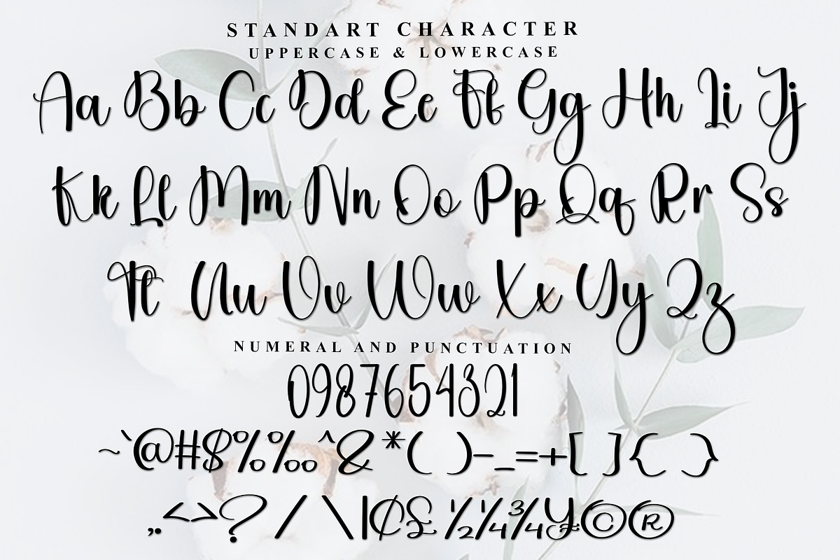 Bighome, a Handwritten Font by FreshTypeINK (Photo 6 of 8)