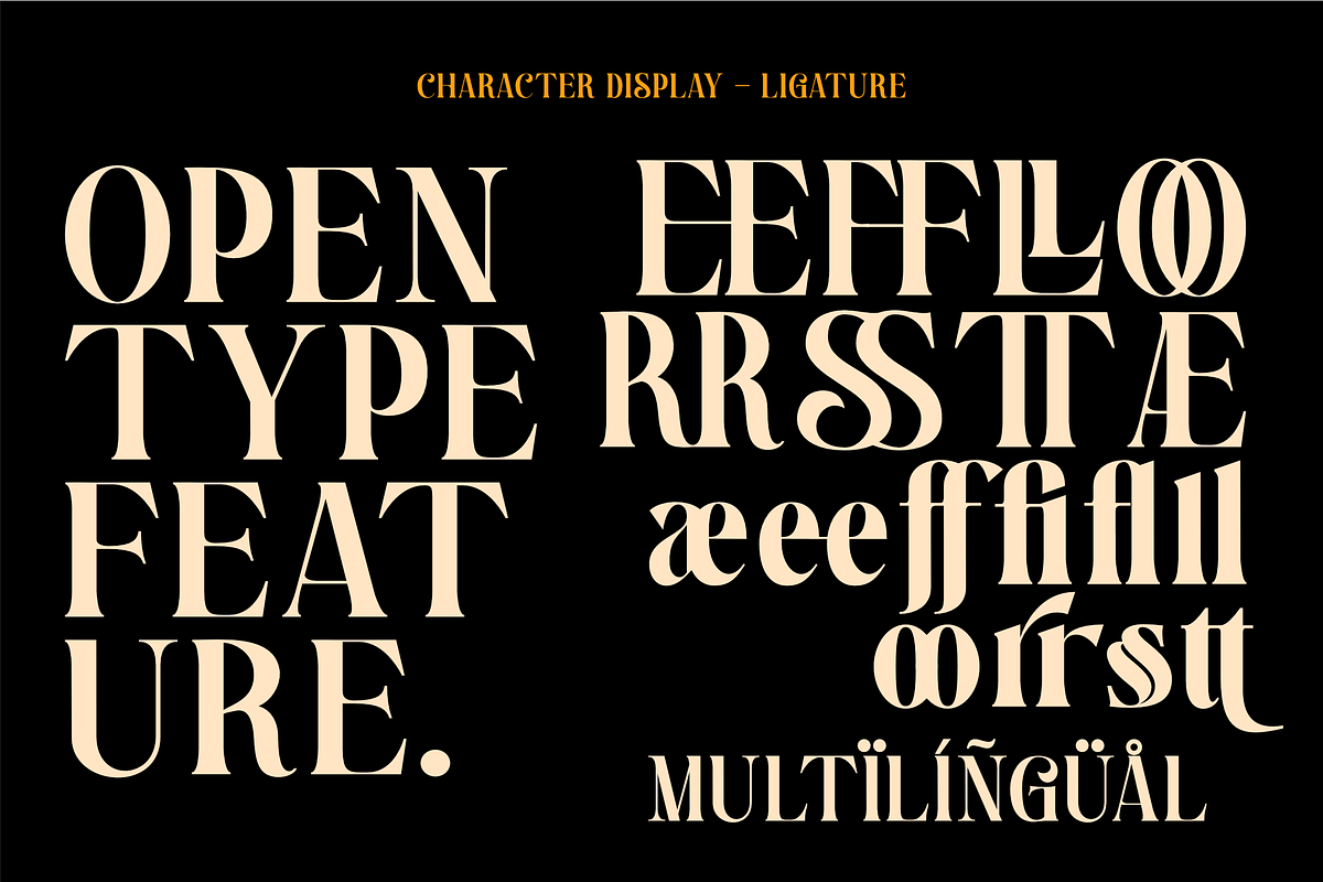 Endbrium - A Modern Serif Display, a Serif Font by zamjumps (Photo 11 of 12)