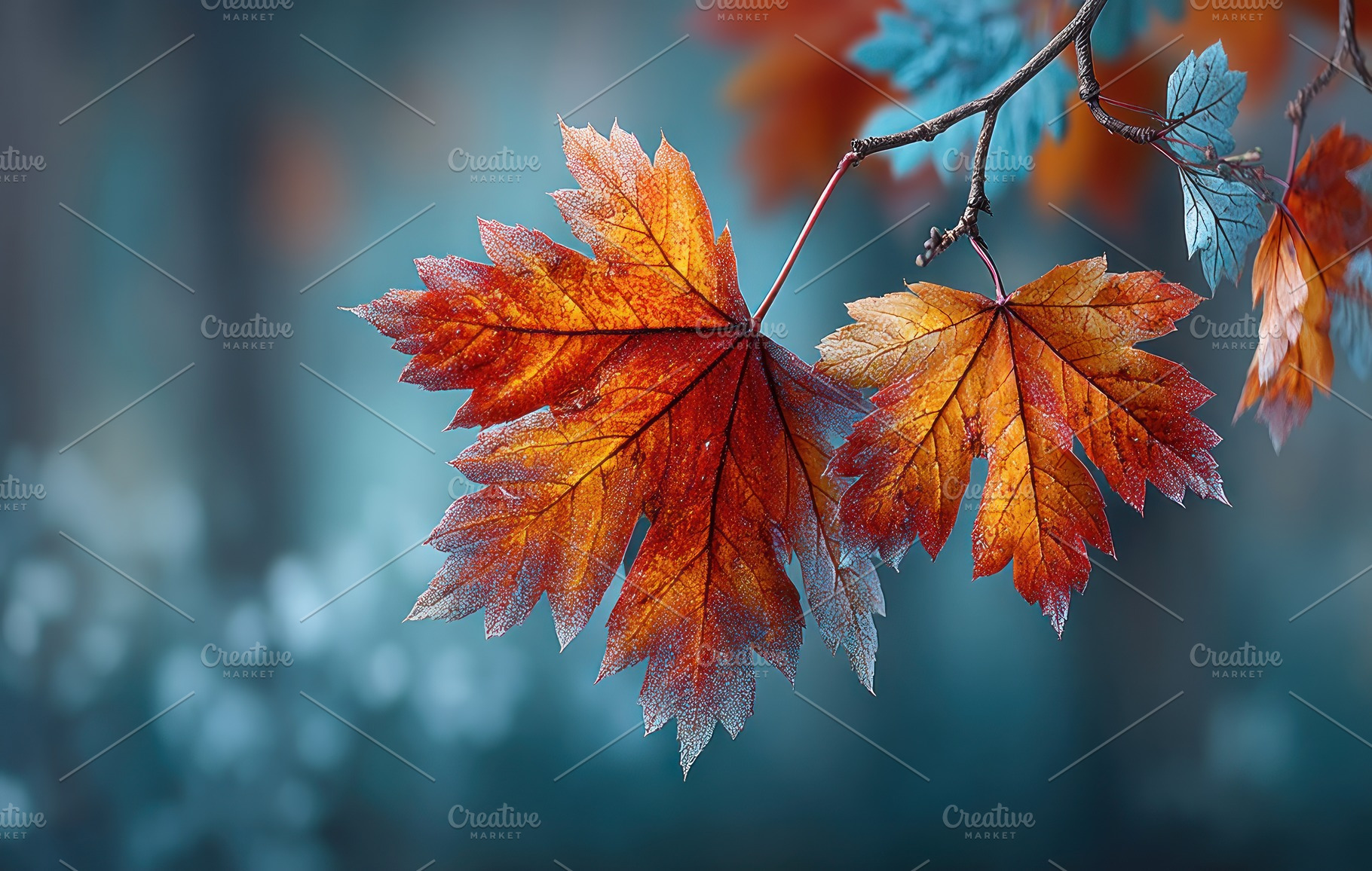 Vibrant multicolored autumn leaves on a branch with soft bokeh b, a Nature Photo by José Manuel Gelpi