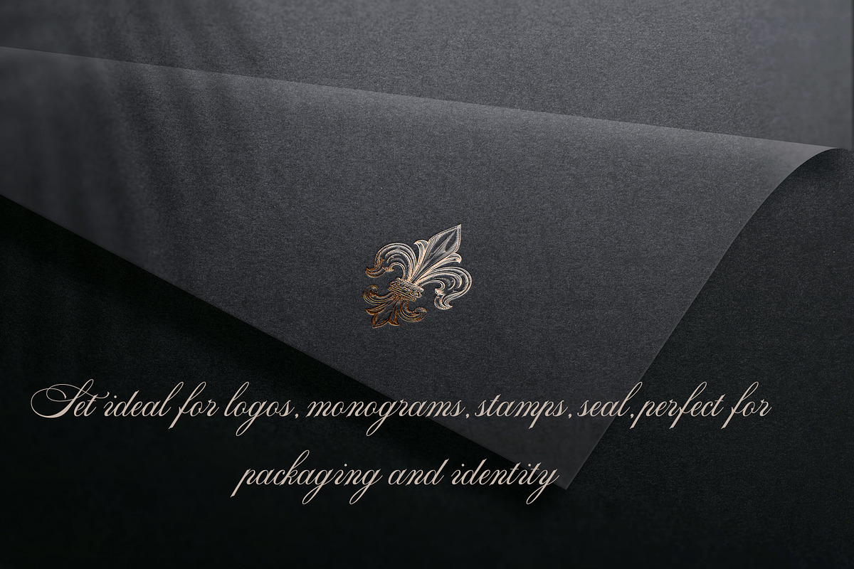 Bundle of vector vintage flourishes, an Object Graphic by FleurArt (Photo 15 of 19)