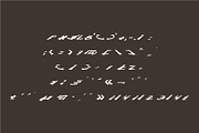BRACING Headline Racing font, a Script Font by WAP (Thumbnail 4 of 5)