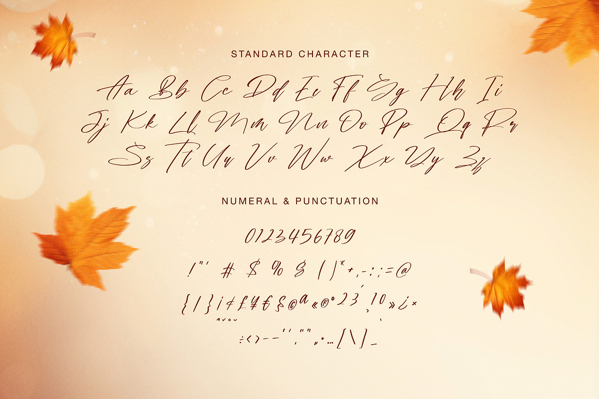 Bidikan Angin Signature Script Font, a Handwritten Font by Geelator Studio (Photo 10 of 11)
