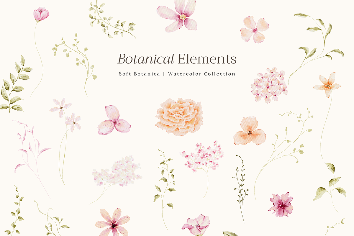 Delicate Pastel Watercolor Flowers, a Decorative Illustration by Altea Design Studio (Photo 24 of 26)