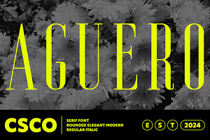 Aguero Serif Rounded