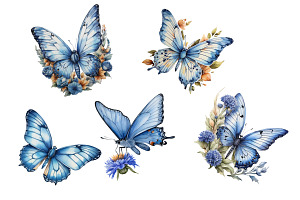 Cute Blue Butterfly Icarus