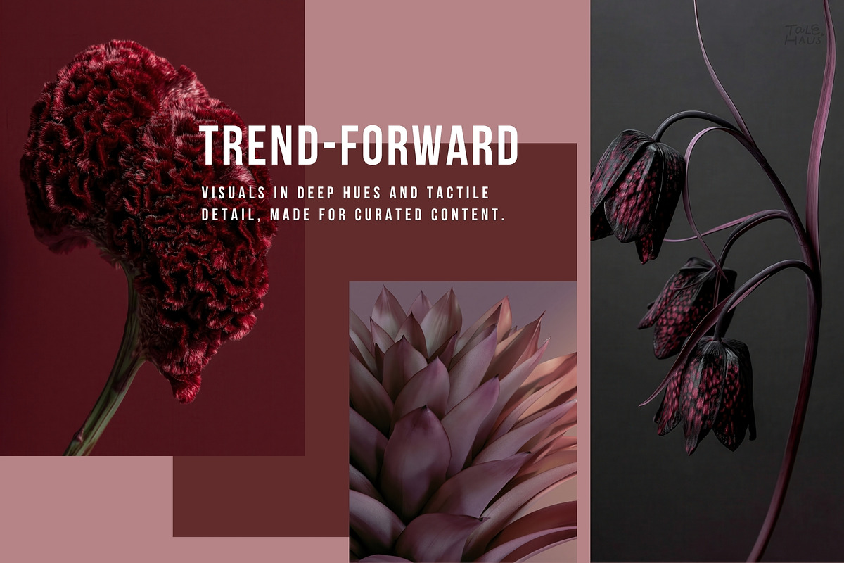 Dark Floral & Mineral Stock Photos, a Nature Photo by Tale.Haus (Photo 5 of 17)