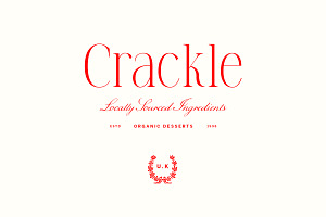 Brookleigh - Classy Serif Font