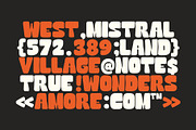 Sunny Funky Bold Display Font, a Sans Serif Font by Heinzel Std (Thumbnail 4 of 10)