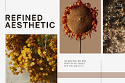 Warm Earth | 290 Earth Tone Photos, a Nature Photo by Tale.Haus (Thumbnail 12 of 18)