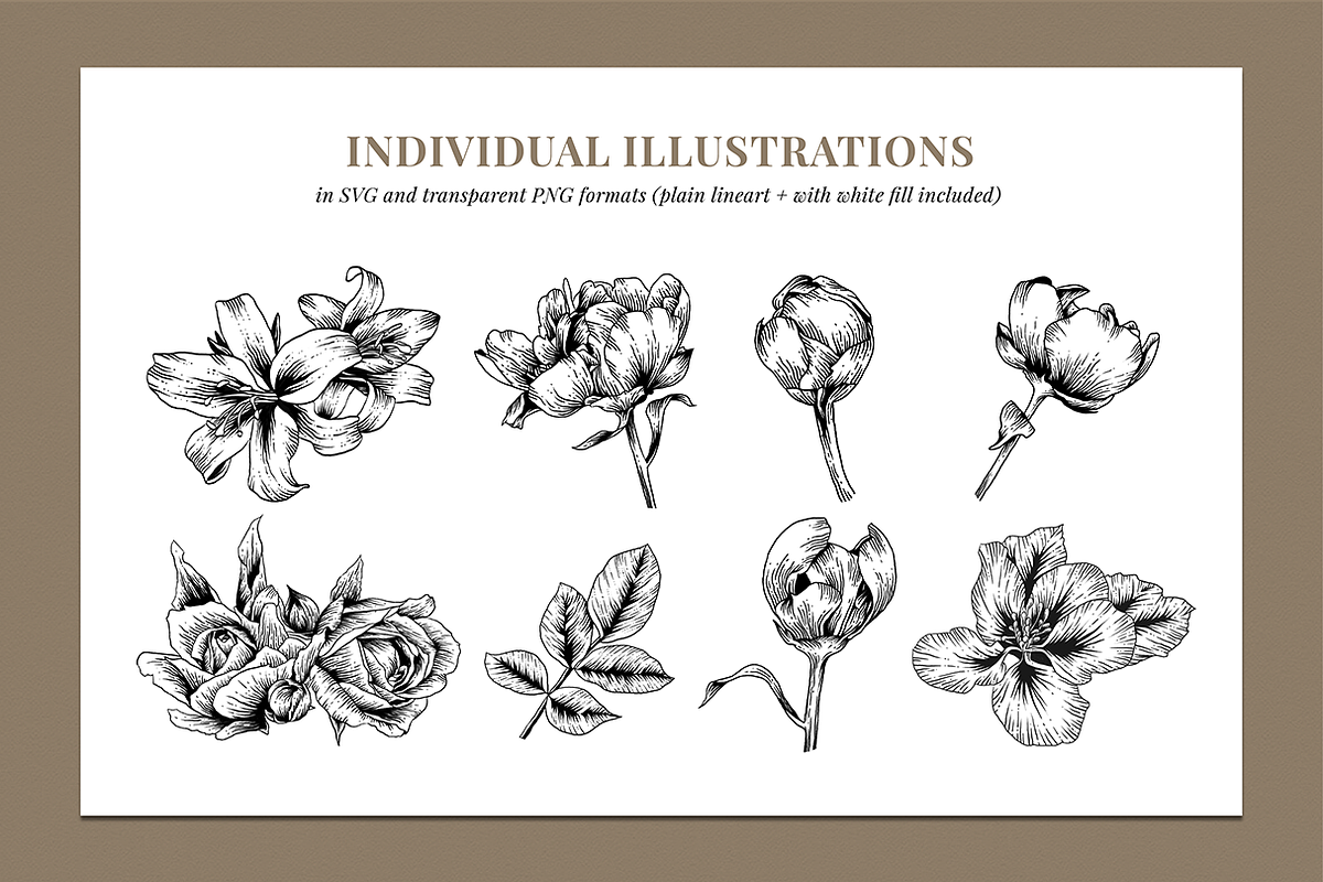 Botanical Illustration Bundle, an Illustration by Rough Edges Supply Co. (Photo 3 of 17)