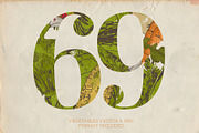 Vegetable collection 1, an Object Graphic by Siosay (Thumbnail 2 of 11)
