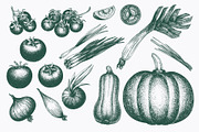 Vegetable Vector Collection, a Food Illustration by Lubov Illustrations Shop (Thumbnail 3 of 6)