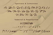 Predikat Oneday, a Script Font by Integritype Studio (Thumbnail 8 of 15)