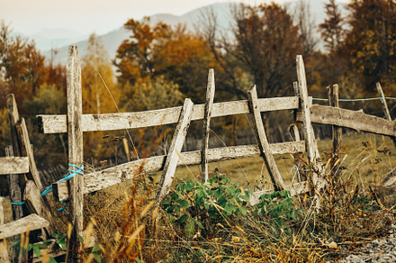 Old broken wooden fence containing fence, rural, and outdoors