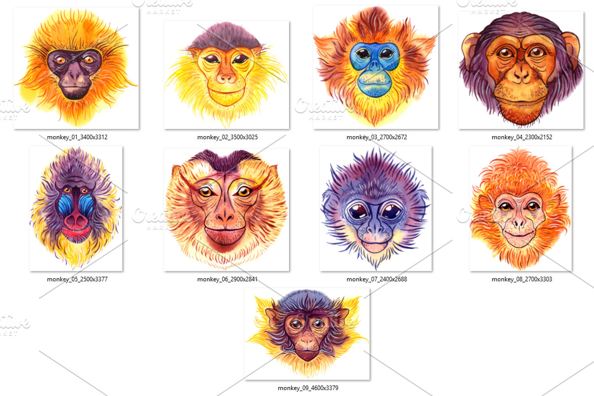 Watercolor monkeys, an Animal Illustration by Evgeniia Zagreeva (Photo 2 of 4)