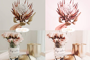 Rose Gold Collection - Lr Presets, a Preset Add-On by Uno Creative Studio (Thumbnail 2 of 4)