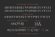 Brioche Family (70% OFF), a Serif Font by Sarid Ezra (Thumbnail 9 of 10)