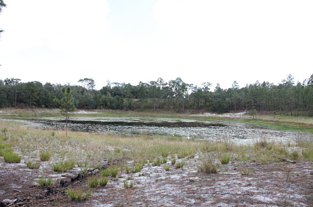 Lake in Gold Head Branch State Park