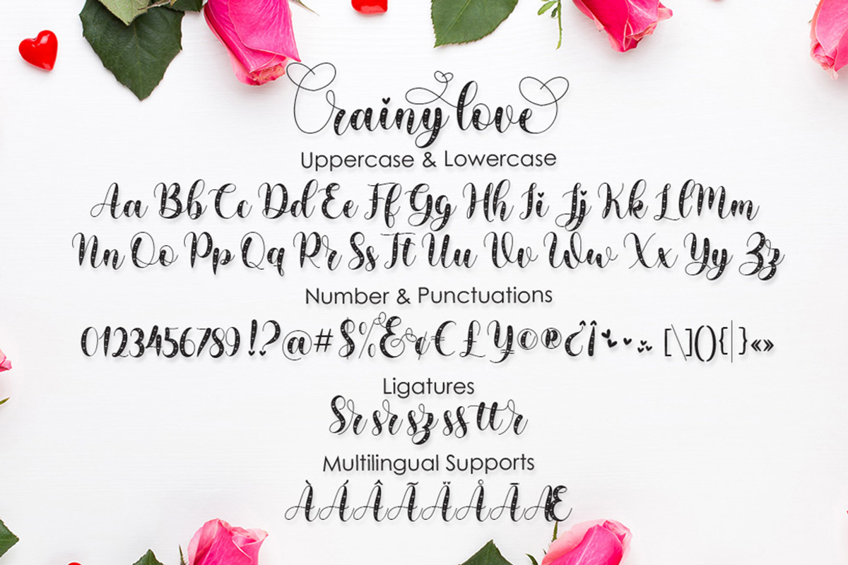 Rainy Love | Lovely Calligraphy, a Script Font by Almeera Std (Photo 3 of 10)