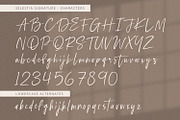 Selestia Signature -Handwritten Font, a Handwritten Font by Alpaprana (Thumbnail 8 of 10)