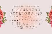 Mounchera - Art Deco Serif, a Serif Font by Variatype (Thumbnail 14 of 14)