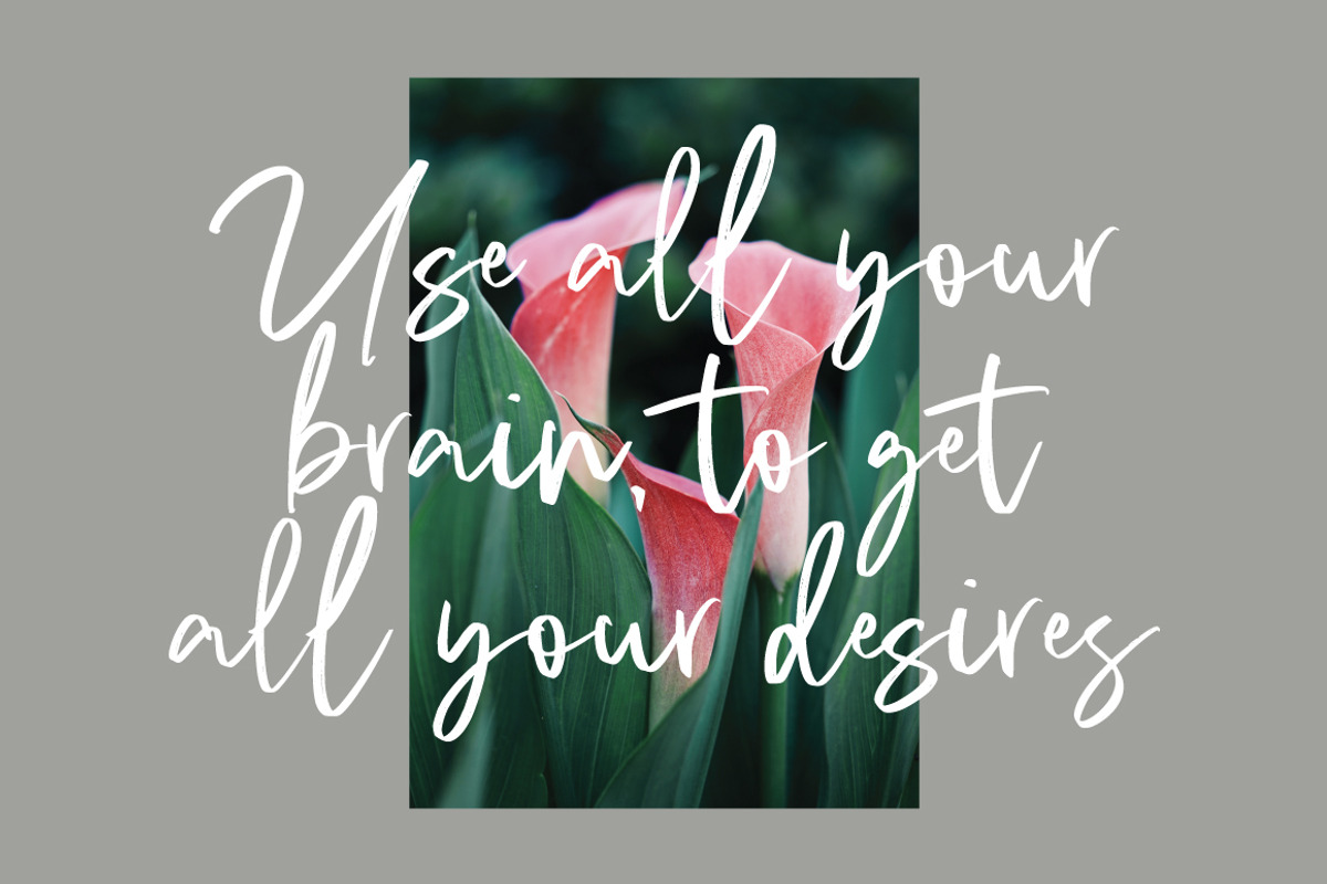 Kahire Brush, a Handwritten Font by Eltypesstudio (Photo 5 of 11)