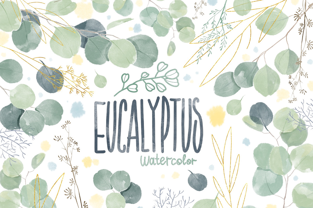 Watercolor Eucalyptus clipart, an Illustration by NKTKNS (Photo 1 of 7)