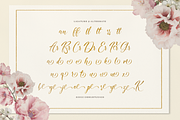 Nomesyl Bridella Beauty Calligraphy, a Script Font by Denustudios (Thumbnail 12 of 12)