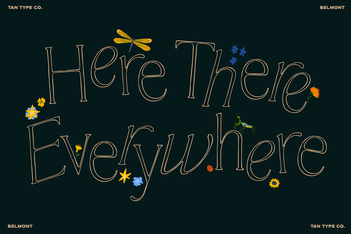 TAN-BELMONT-HANDWRITTEN SERIF, a Serif Font by TanType (Photo 4 of 10)
