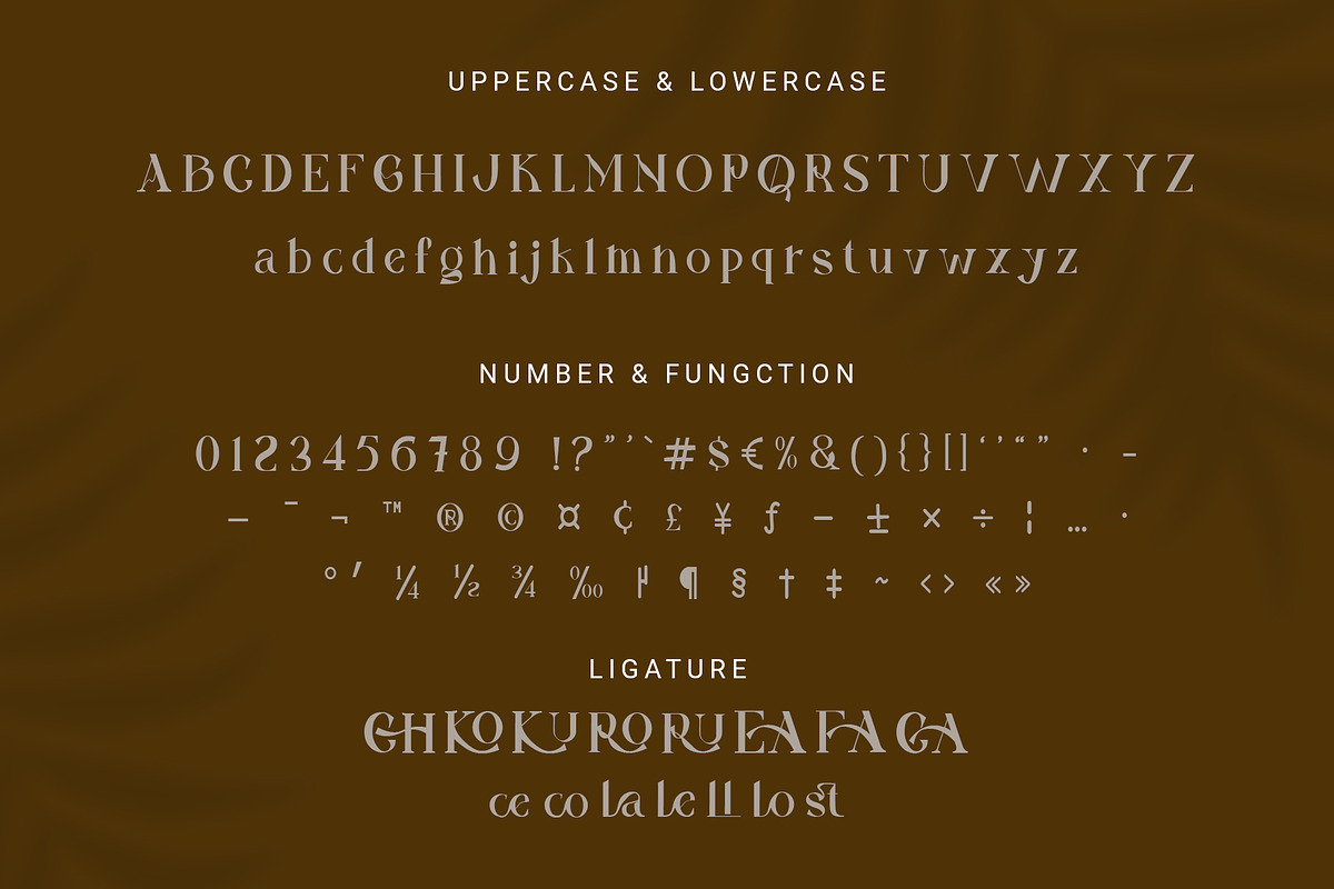 Manbrost serif Font, a Serif Font by RHD Creative Studio (Photo 11 of 11)