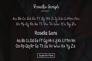 Morella, a Script Font by ViactionType (Thumbnail 7 of 12)