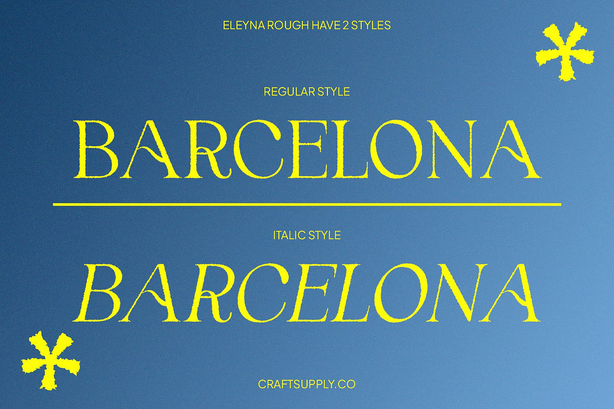 Eleyna Rough, a Serif Font by Craft Supply Co. (Photo 3 of 8)
