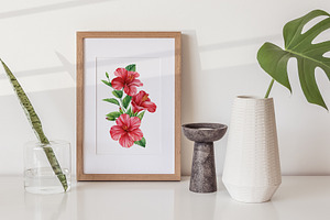 Watercolor Tropical Hibiscus Flowers