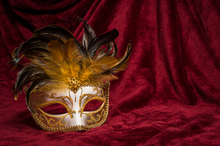 Mask with feathers on red velvet, an Arts & Entertainment Photo by Elles Rijsdijk