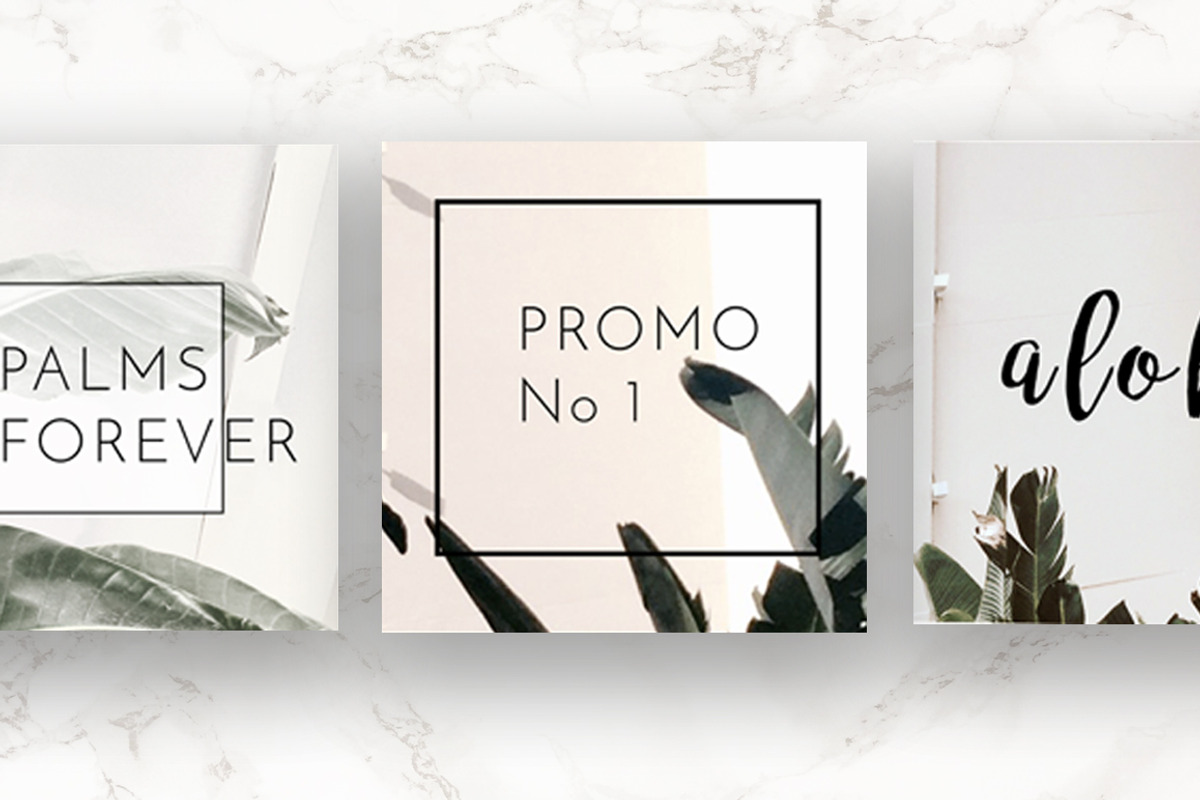 8 Pack Instagram Social Palm Layouts, a Templates & Theme by Aloha Philly (Photo 5 of 7)