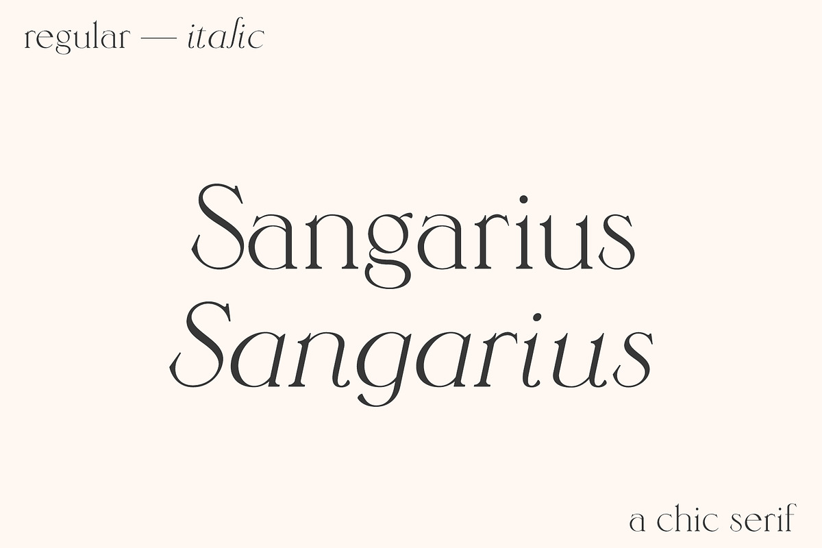 Sangarius // A Chic Serif Typeface, a Serif Font by Megs Lang (Photo 1 of 15)